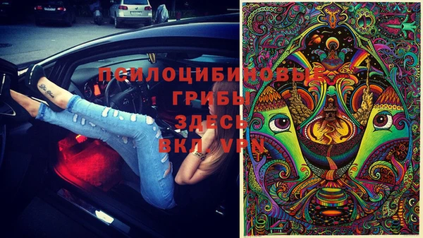 синтетический гашиш Дмитриев
