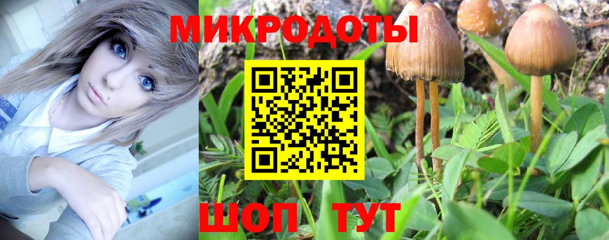 Псилоцибиновые грибы Psilocybe  Псилоцибиновые грибы мухоморы  Дивногорск  Вход с VPN 