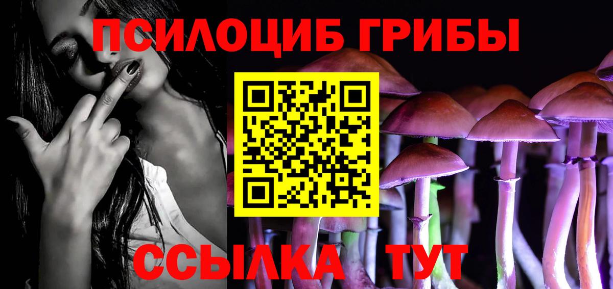 Галлюциногенные грибы Cubensis Дивногорск