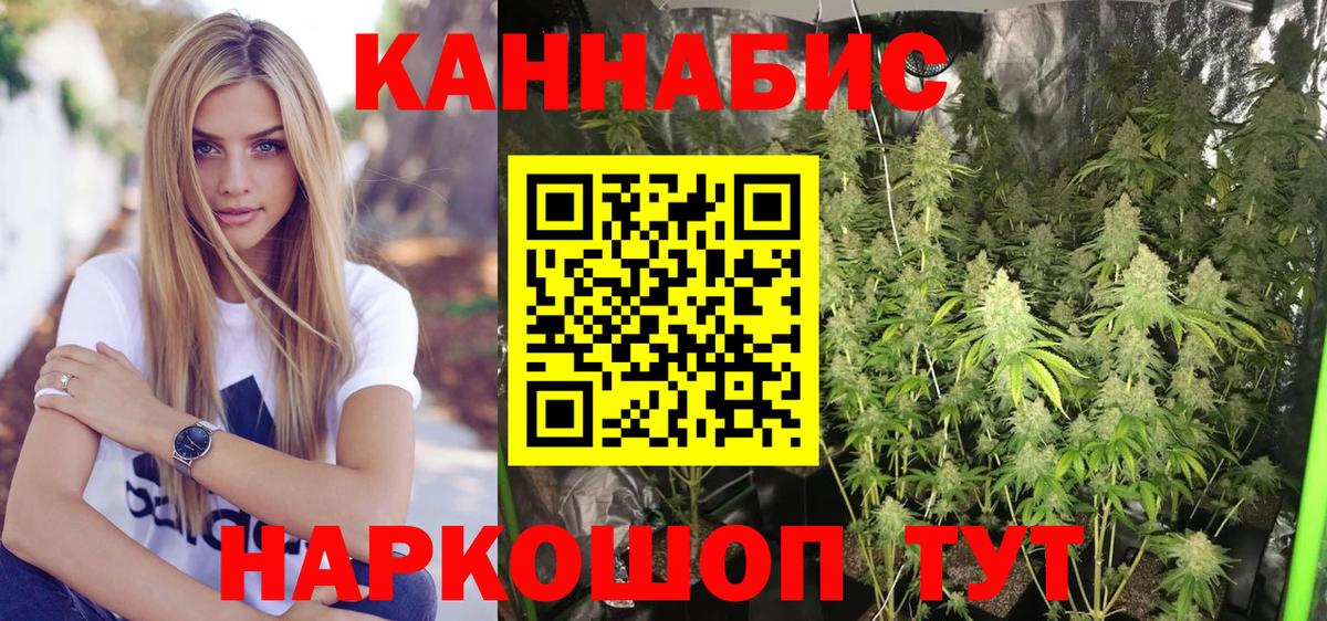 Бошки марихуана Amnesia Дивногорск